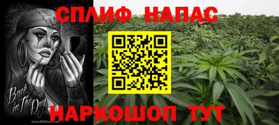 jwh Ставрополь