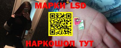 jwh Ставрополь